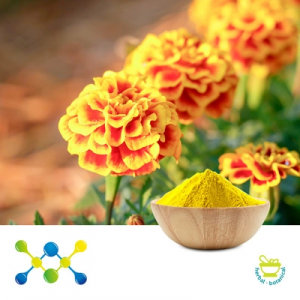 Lutein 5% Powder (Marigold Ext) by Undersun Biomedtech 