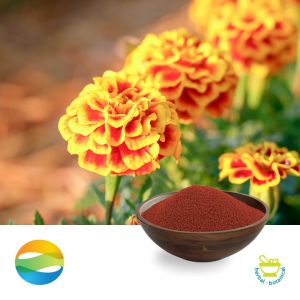 Lutein 5% Beadlet by CCGB