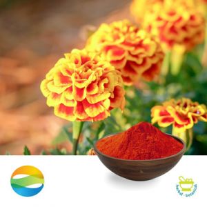 Lutein Esters 10% by CCGB