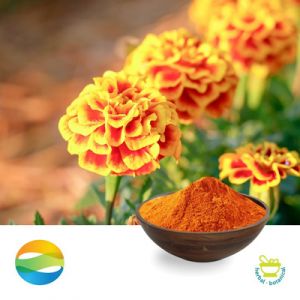 Lutein 5% Powder by CCGB