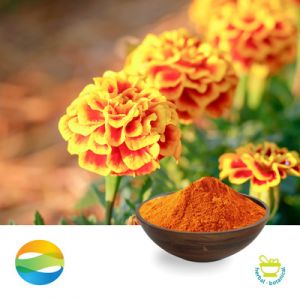 Lutein 10% Powder by CCGB