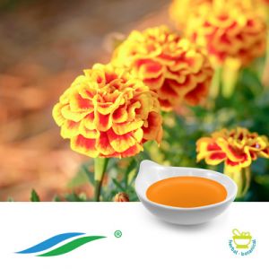 Marigold Extract 20% Zeaxanthin Oil HPLC by Hunan NutraMax