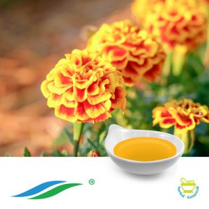 Marigold Extract 20% Lutein Oil HPLC by Hunan NutraMax