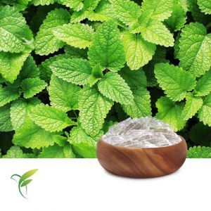 Menthol USP by YinFeng