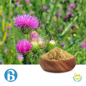 Milk Thistle P.E. 80% Silymarin by BannerBio