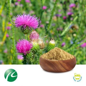Milk Thistle 80% Silymarin by Hunan Huakang
