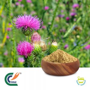 Milk Thistle P.E 5:1 by TRG