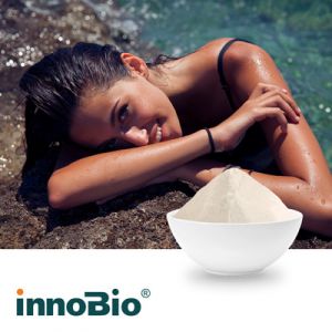 Natural Mixed Tocopherol 30% Powder by innoBio