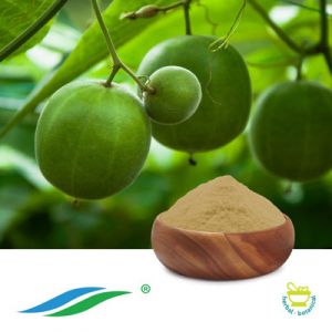 Monk Fruit Extract 25% Mogroside V by Hunan NutraMax