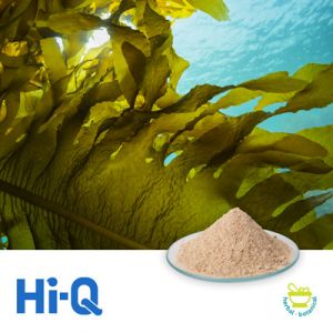 OLIFUCO ® Oligo Fucoidan Powder by Hi-Q Marine Biotech