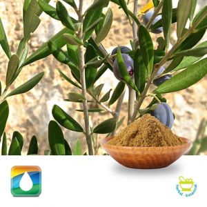 Olive Leaf Extract 7% Hydroxytyrosol (HPLC) by Monteloeder
