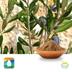 Olive Leaf Extract 20% Hydroxytyrosol (HPLC) by Monteloeder