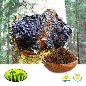 Organic Chaga Powder by Biosan