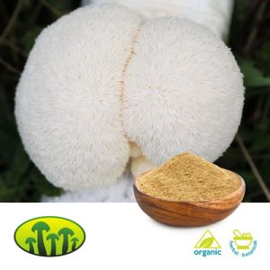 Organic Lion’s Mane Dual Extract 8:1 by Biosan