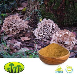 Organic Maitake 8:1 Extract by Biosan