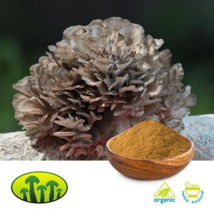 Organic Maitake Powder by Biosan