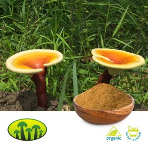 Organic Reishi Dual Extract 15:1 by Biosan