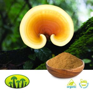 Organic Reishi Powder by Biosan