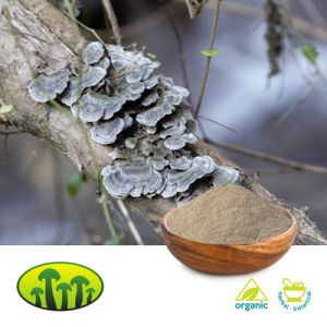 Organic Turkey Tail Powder by Biosan