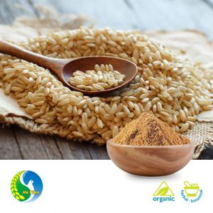 Organic Brown Rice Protein 80% 600 Mesh by Panjin Hetian Food