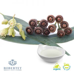 Organic Eucalyptus Oil by Robertet