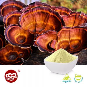 Organic Red Reishi Extract Powder Grade A (Polysaccharide ≥ 5%) by Fujian Xiangzhilou (GanoHerb)