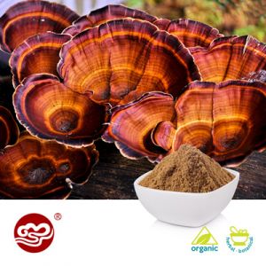 Organic Red Reishi Spore Powder (Broken) by Fujian Xiangzhilou (GanoHerb)