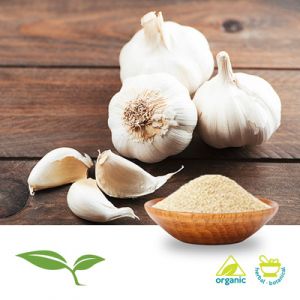 Garlic Powder (Organic) by American Botanicals