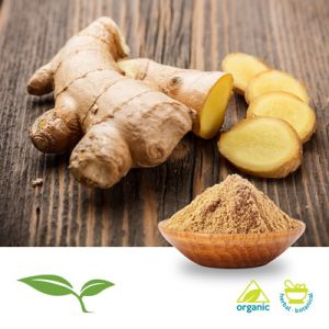 Ginger Root (Ground, Organic) by American Botanicals