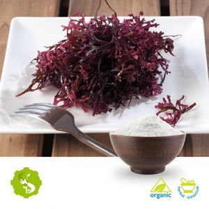 Organic Irish Moss Powder by Hunan Essence
