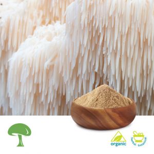 Organic Lion's Mane by Aloha Medicinals