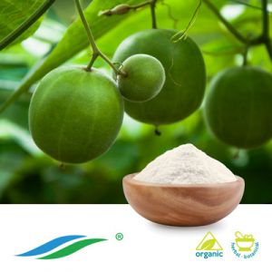 Organic Monk Fruit Extract 50% HPLC by Hunan NutraMax