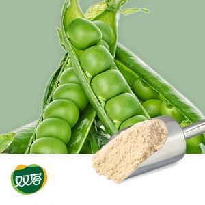 Pea Protein 80% by Shuangta Food