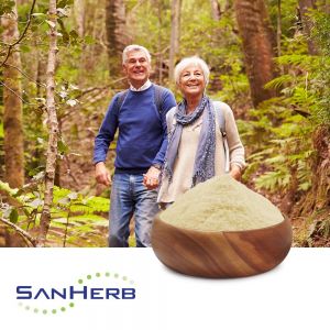 Phosphatidylserine 50% (Sunflower) by SanHerb