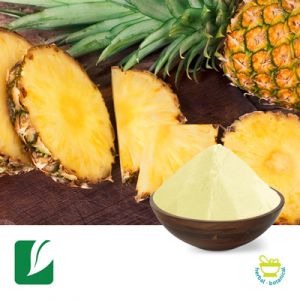 Pineapple Fruit Powder by Longze Biotechnology