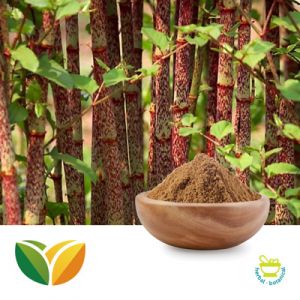 Polygonum Cuspidatum Extract (Trans-Resveratrol >20%) by Tianhua Pharmaceutical
