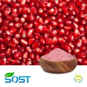 Pomegranate Juice Powder by SOST