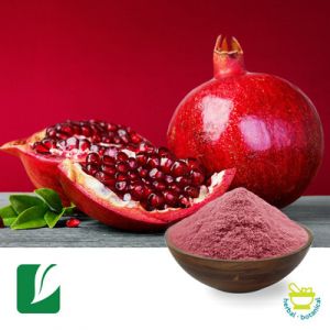 Pomegranate Fruit Powder by Longze Biotechnology
