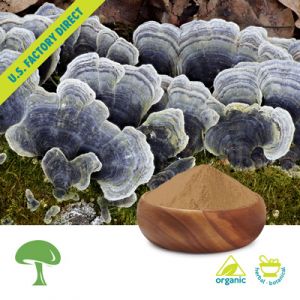 Organic Turkey Tail by Aloha Medicinals