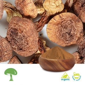 Organic Agaricus Blazei by Aloha Medicinals