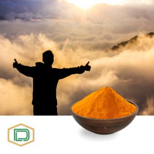 Riboflavin 5 Phosphate Sodium USP by Danashmand Organic