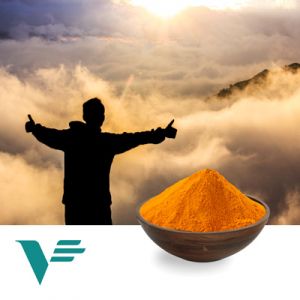 Riboflavin 5 Sodium Phosphate by Guangji Pharm.