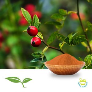 Rosehips Powder by American Botanicals