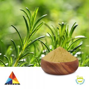 Rosmarinic Acid 30% Powder by Super