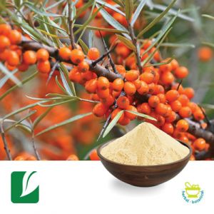 Sea Buckthorn Extract 5:1 by Longze Biotechnology