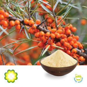 Sea Buckthorn Berry P.E. 5% Flavone by Rainbow