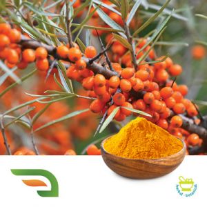 Sea Buckthorn Fruit Powder (Freeze-Dried) by Joywin