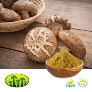 Organic Shiitake Extract 8:1 by Biosan