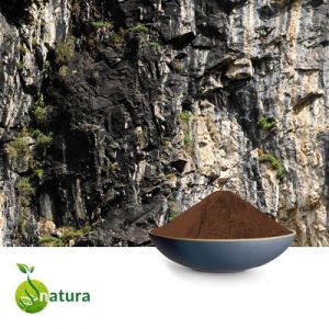 Shilajit Extract 20% Fulvic Acid by Natura Biotechnol