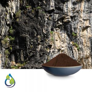 Shilajit P.E. 40% Fulvic Acid by Gravimetry by S.A. Herbal Bioactives